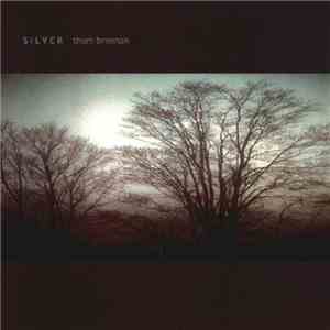 Thom Brennan - Silver