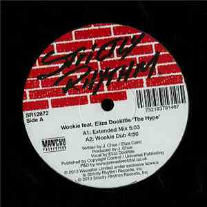 Wookie Feat. Eliza Doolittle - The Hype