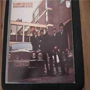 The Flamin' Groovies - Shake Some Action