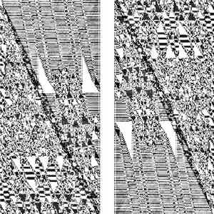 senselessness - Reverse