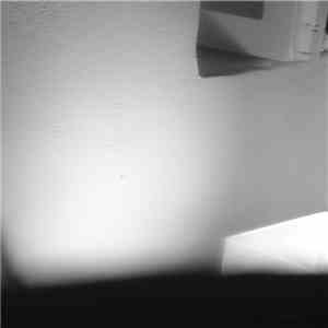 Mai 12 - Metaptose