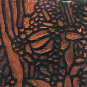 Richard Youngs - Multi-Tracked Shakuhachi