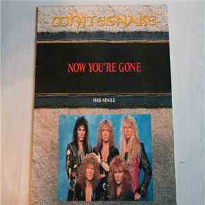 Whitesnake - Now Youre Gone