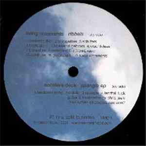 Living Ornaments / Accelera Deck - Split LP Series #1 - Living Ornaments / Accelera Deck